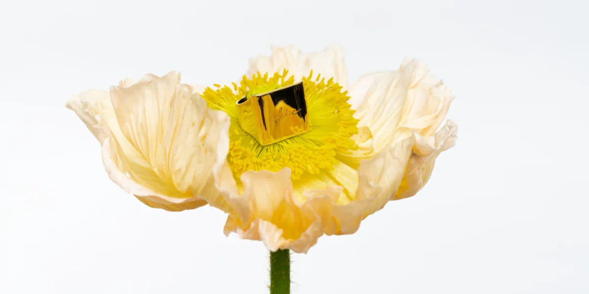 Gold ring placed on the bright yellow center of a delicate pale yellow poppy flower