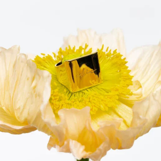 Gold wide band ring with engraved signature placed on yellow center of pale cream poppy flower